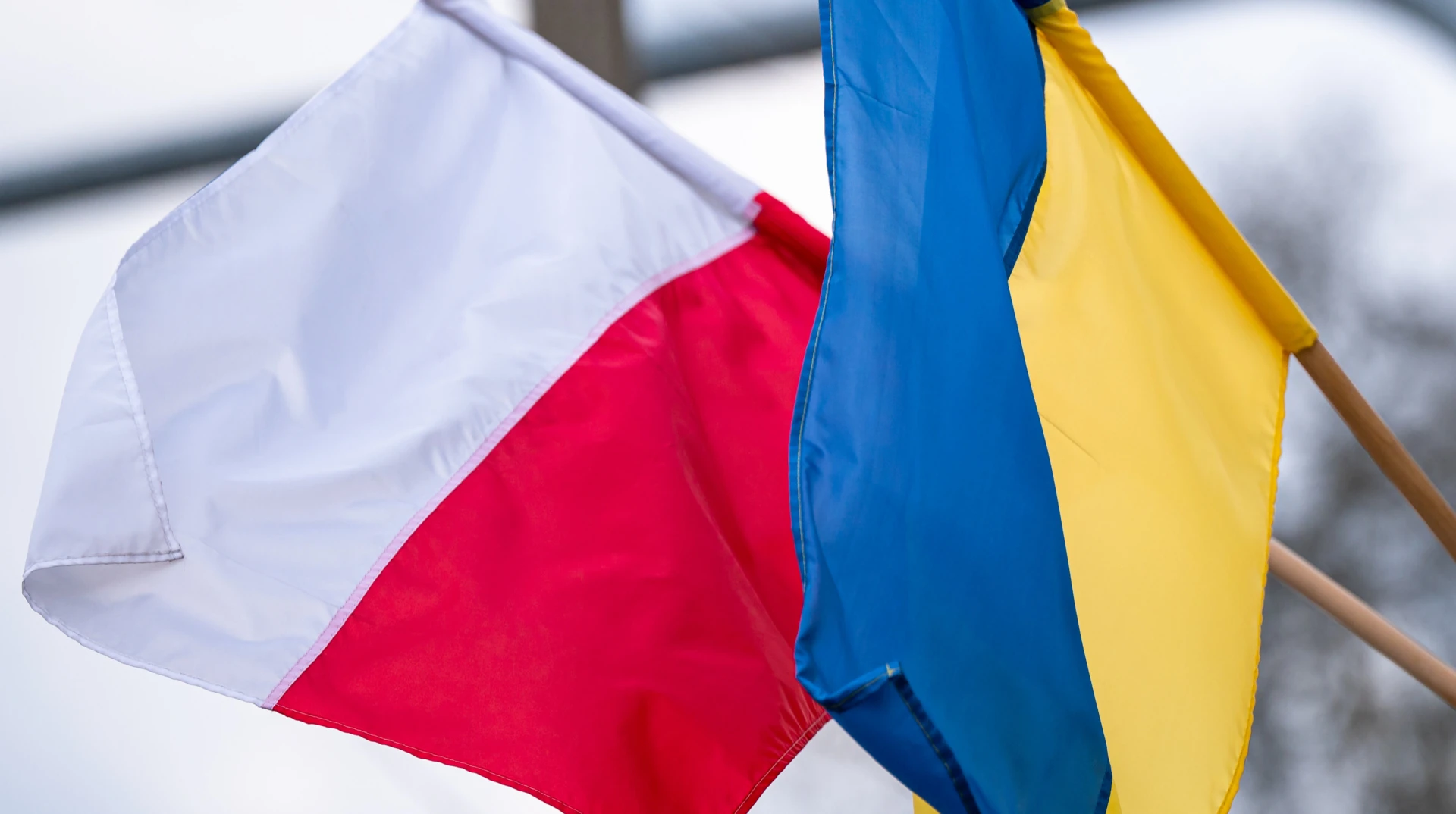 У Львові розпочались ексгумаційні дослідження останків польських військових 1939 року