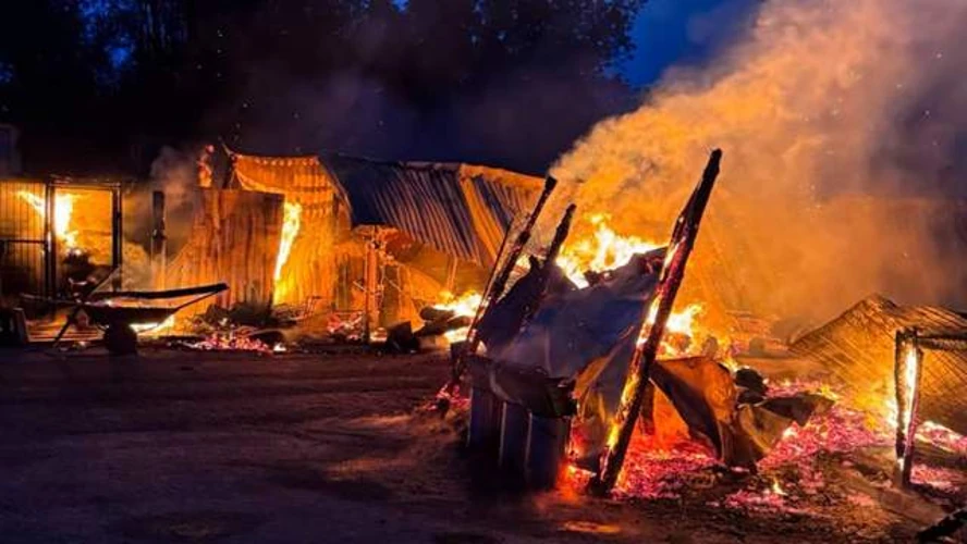 Підтверджена хронологія пожежі в притулку «Сіріус» на Київщині